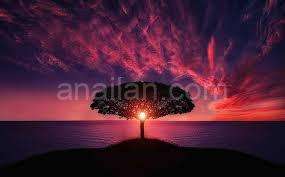 indir